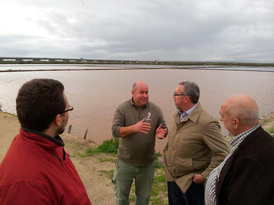 salinas salinas